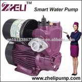 Mini Irrigation Electric Hot and Cold Water Self Priming Pump